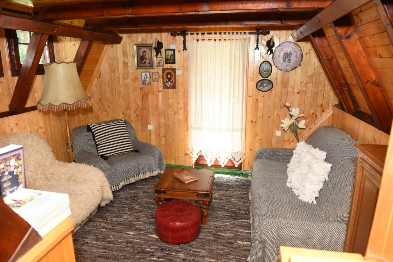 فيلا Visnjin Dom Divčibare المظهر الخارجي الصورة